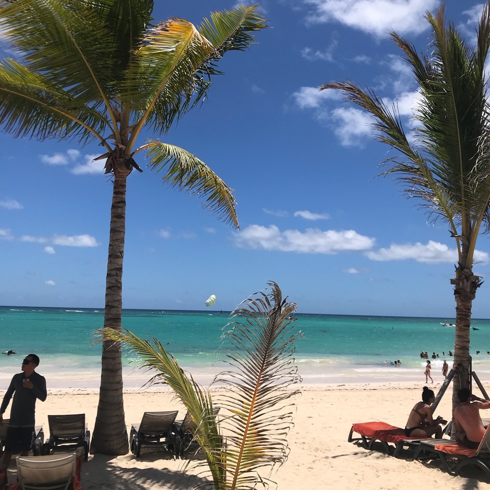 Meet your Posher, Kona